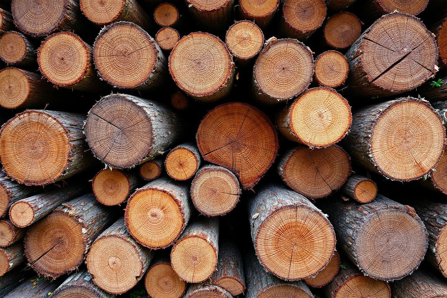 Peut-on utiliser le bois de laurier comme bois de chauffage ? Peut-on utiliser le bois de laurier comme bois de chauffage ?